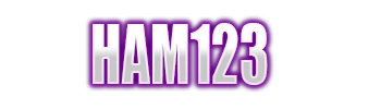 Logo HAM123